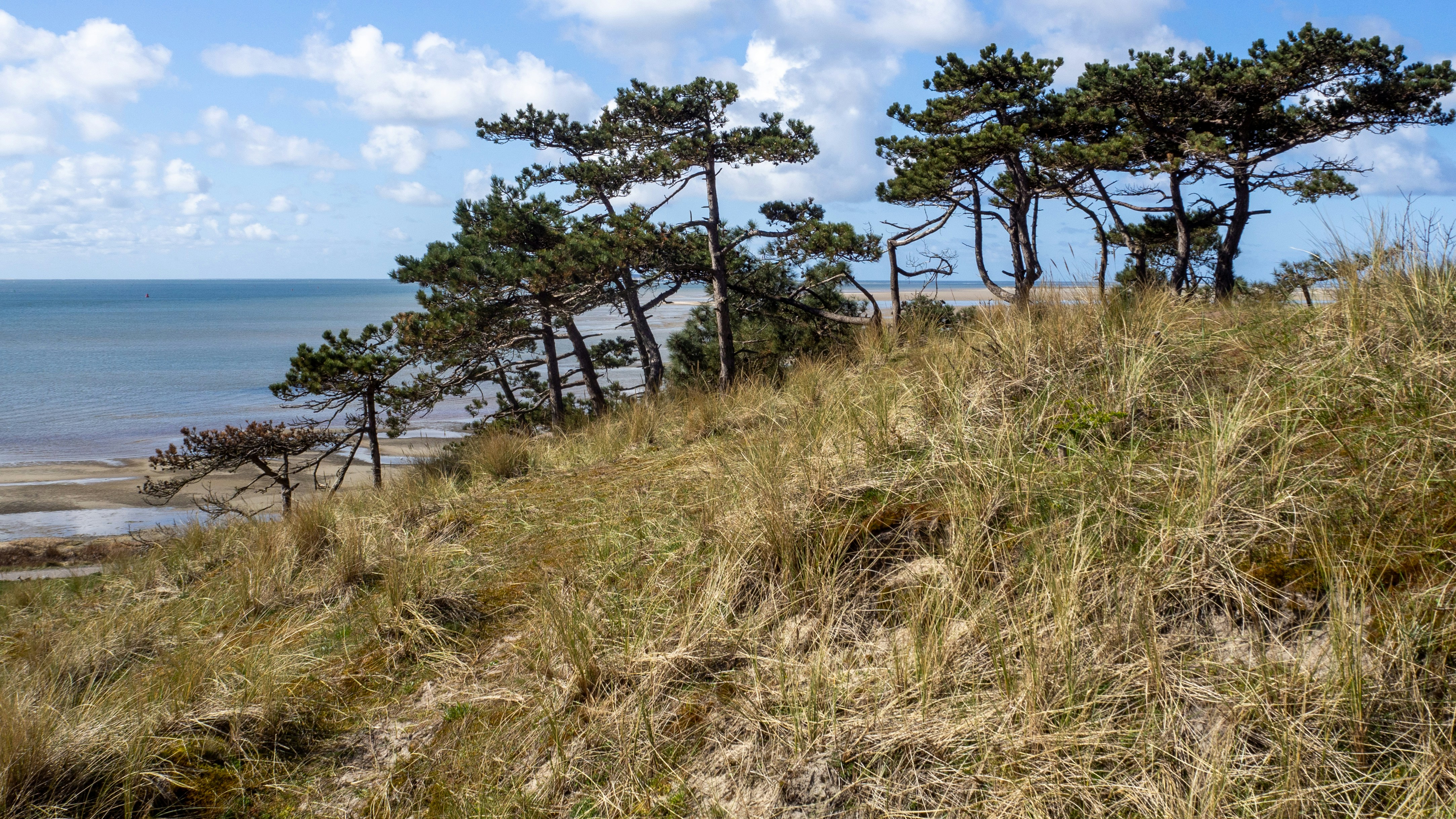 Photo by wimvanteinde