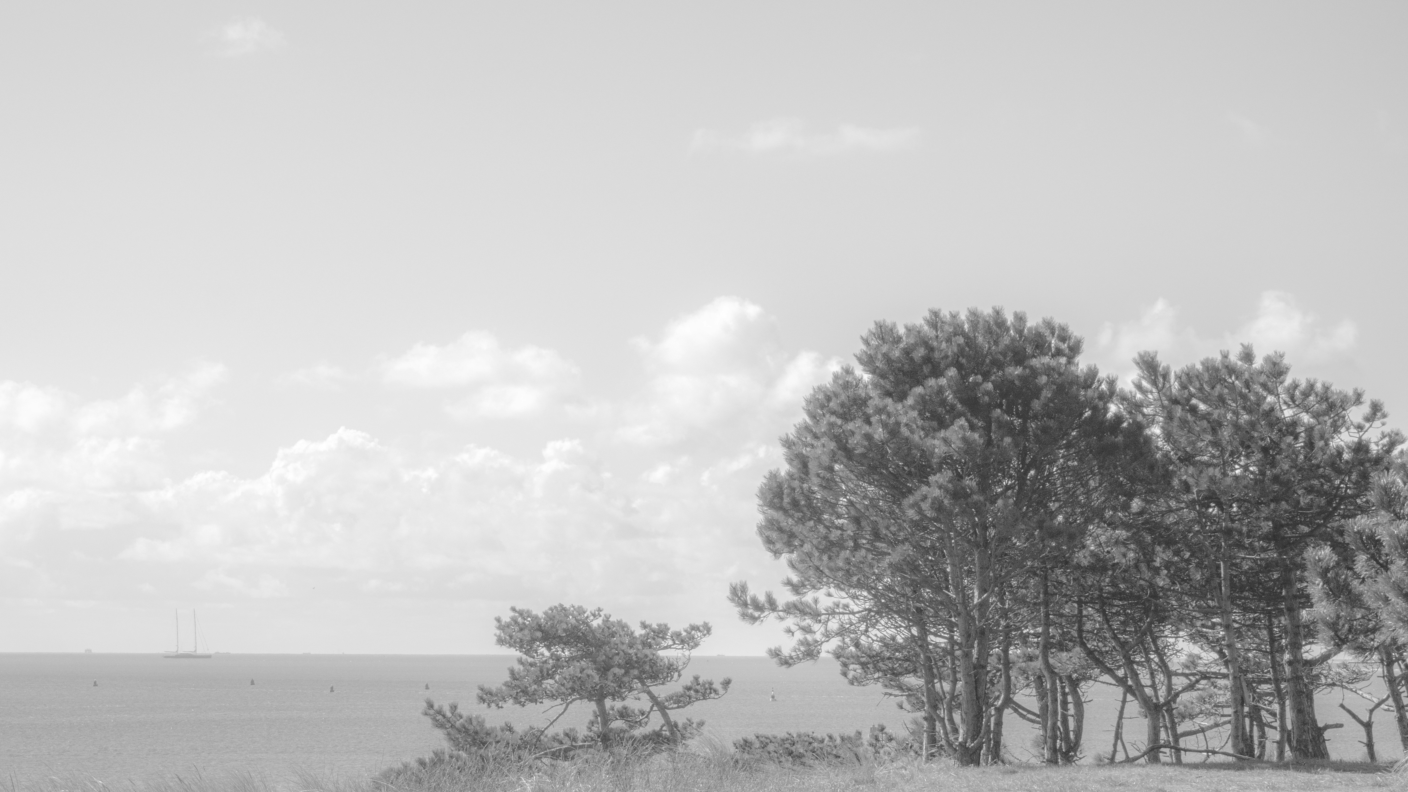 Photo by wimvanteinde