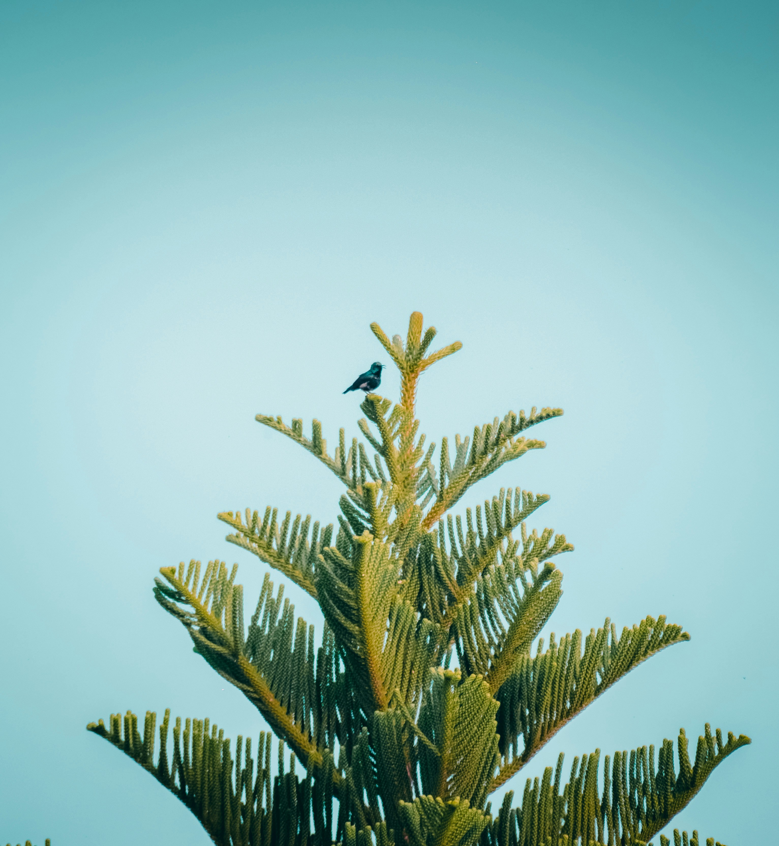 Photo by sagarkulkarni