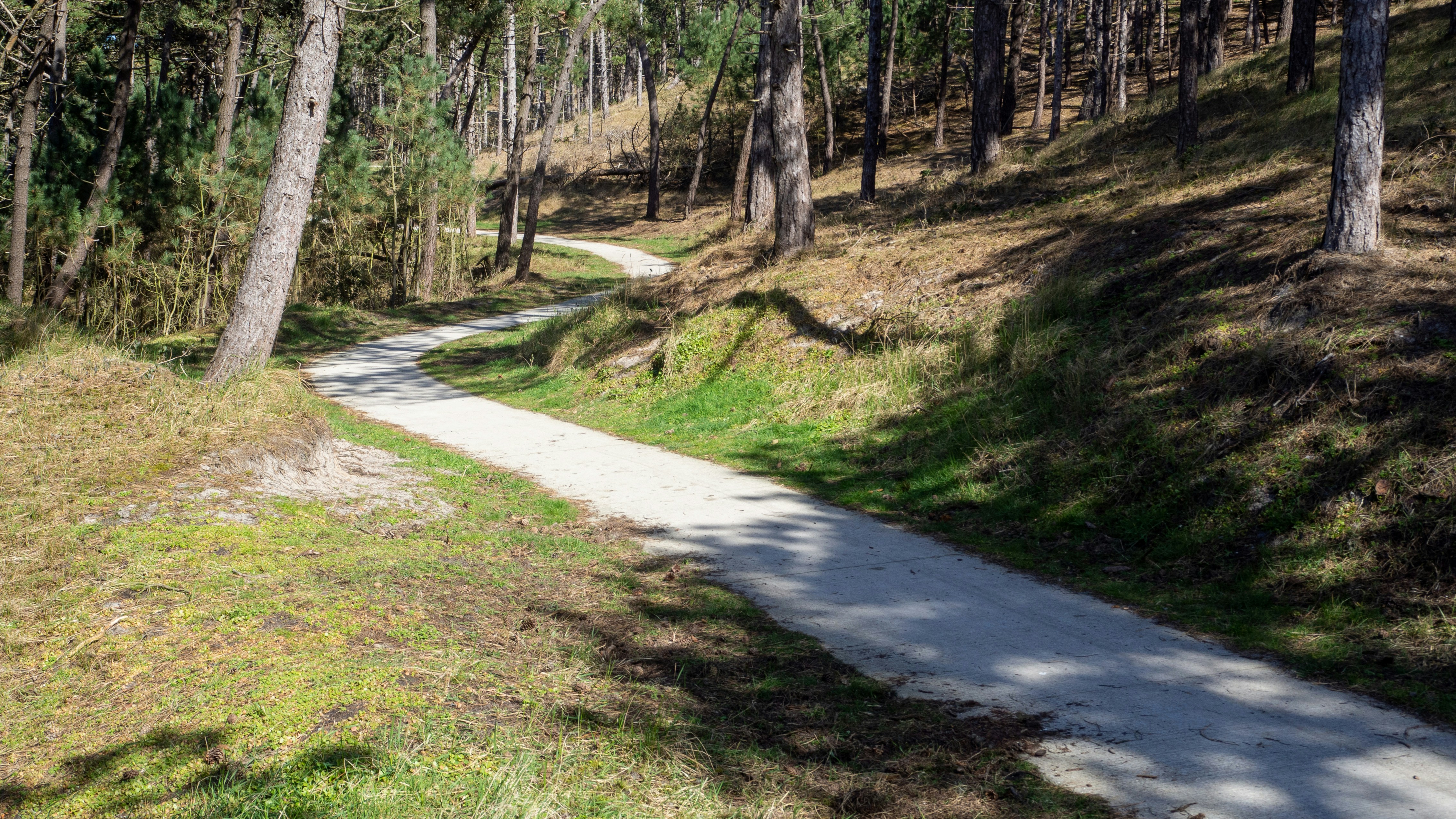 Betonnen fietspad door bos bij Helmond leidt tot verdeeldheid