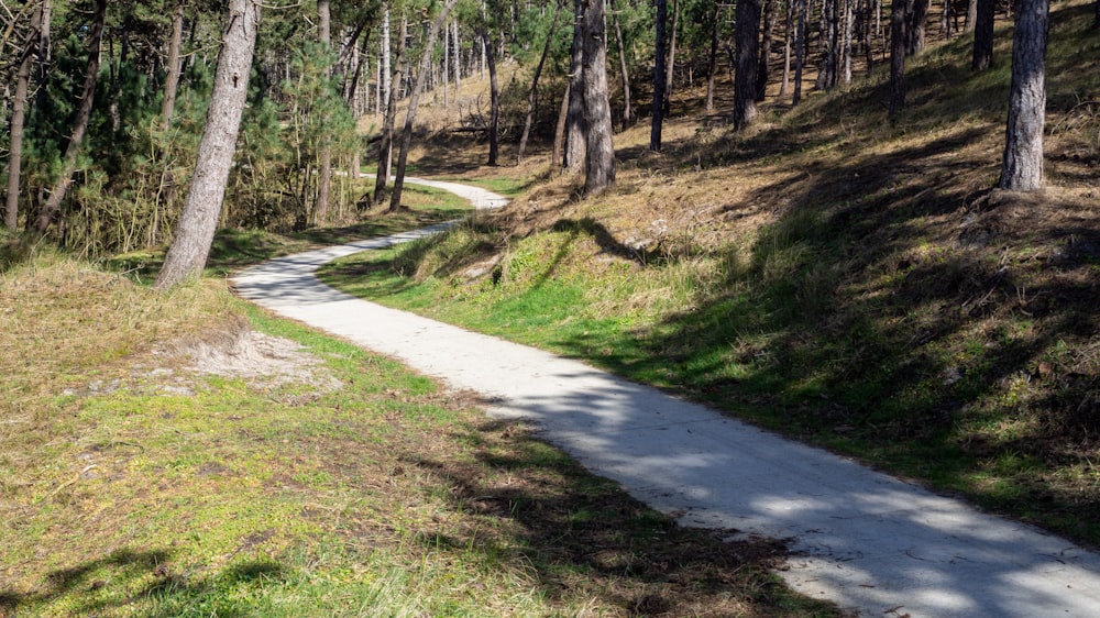 green grass and trees near pathway