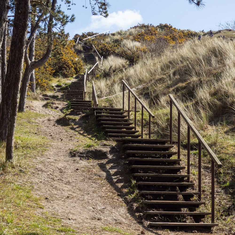 Escalier en bois marron sur un champ d’herbe verte