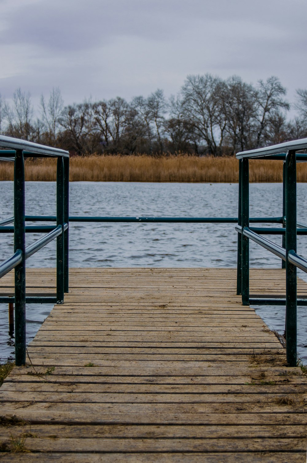 brown wooden dock on lake during daytime