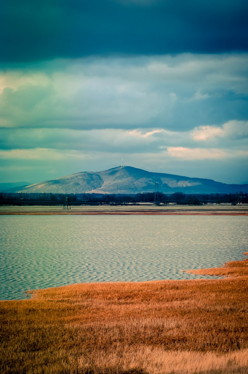 brown grass field near body of water under cloudy sky during daytime