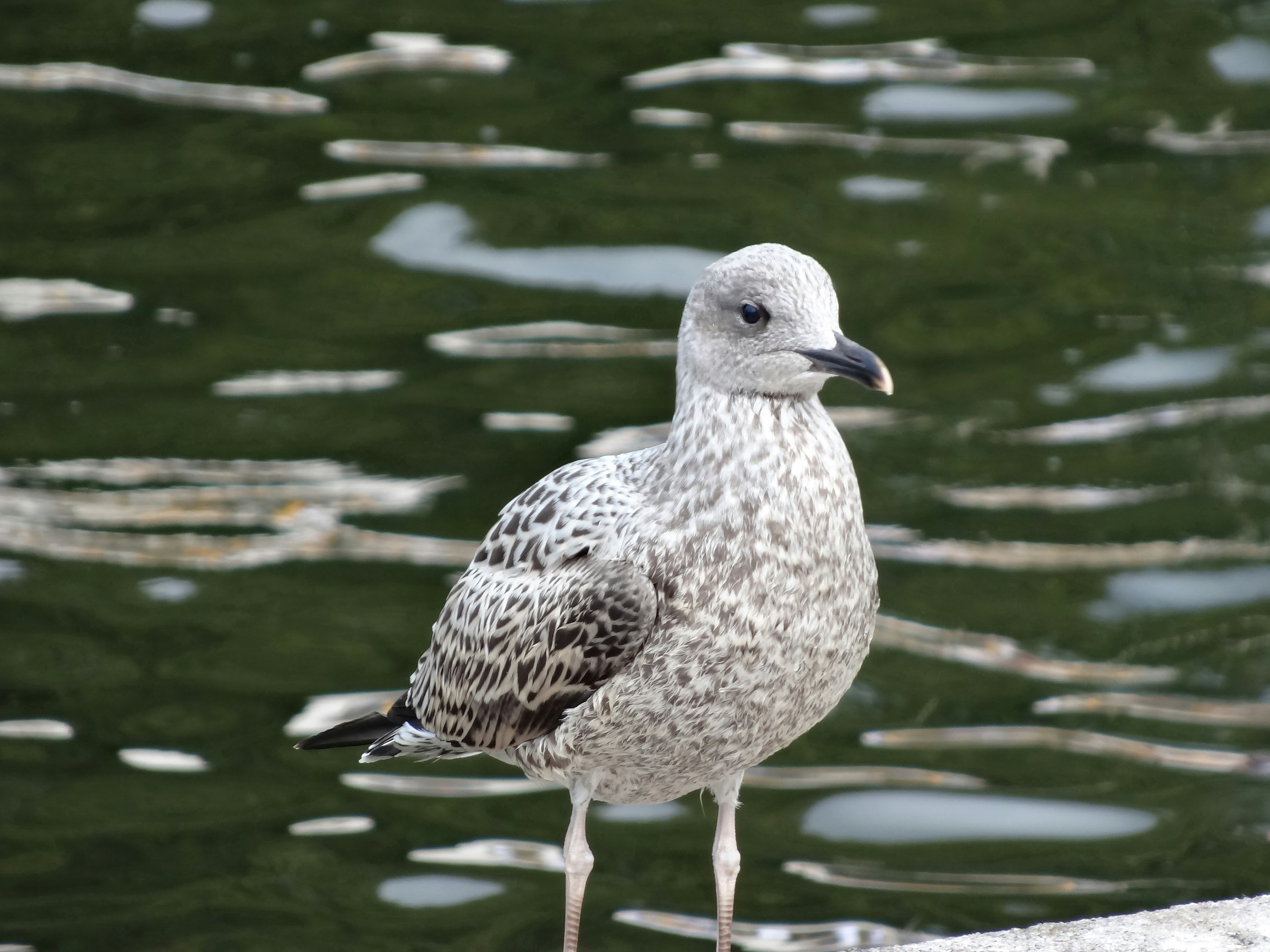 Photo by firankamipinska