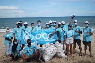 group of people on beach cleanup during daytime