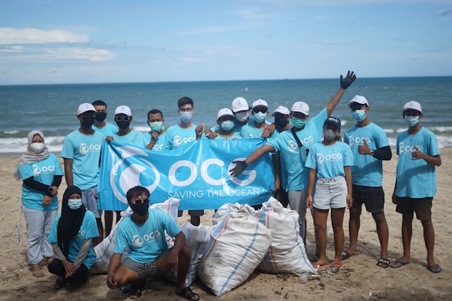group of people on beach cleanup during daytime