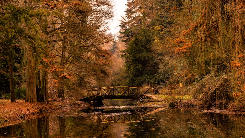 brown wooden bridge over river surrounded by trees during daytime