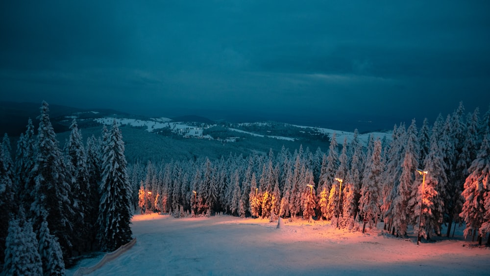 snow covered trees under cloudy sky during daytime