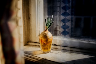 A sprouting onion is placed in a glass of water on a window sill, illuminated by soft natural light. The background includes a window with a translucent patterned curtain.