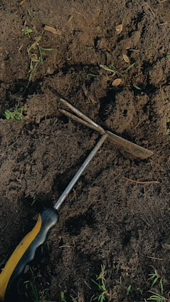Close-up of sturdy hand trowel and pruning shears resting on rich soil with green seedlings.