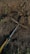 A hand tool with a black and yellow handle lies on dark, rich soil. The soil is slightly disturbed, suggesting digging or gardening activity. Small green sprouts and sticks are scattered around the area.