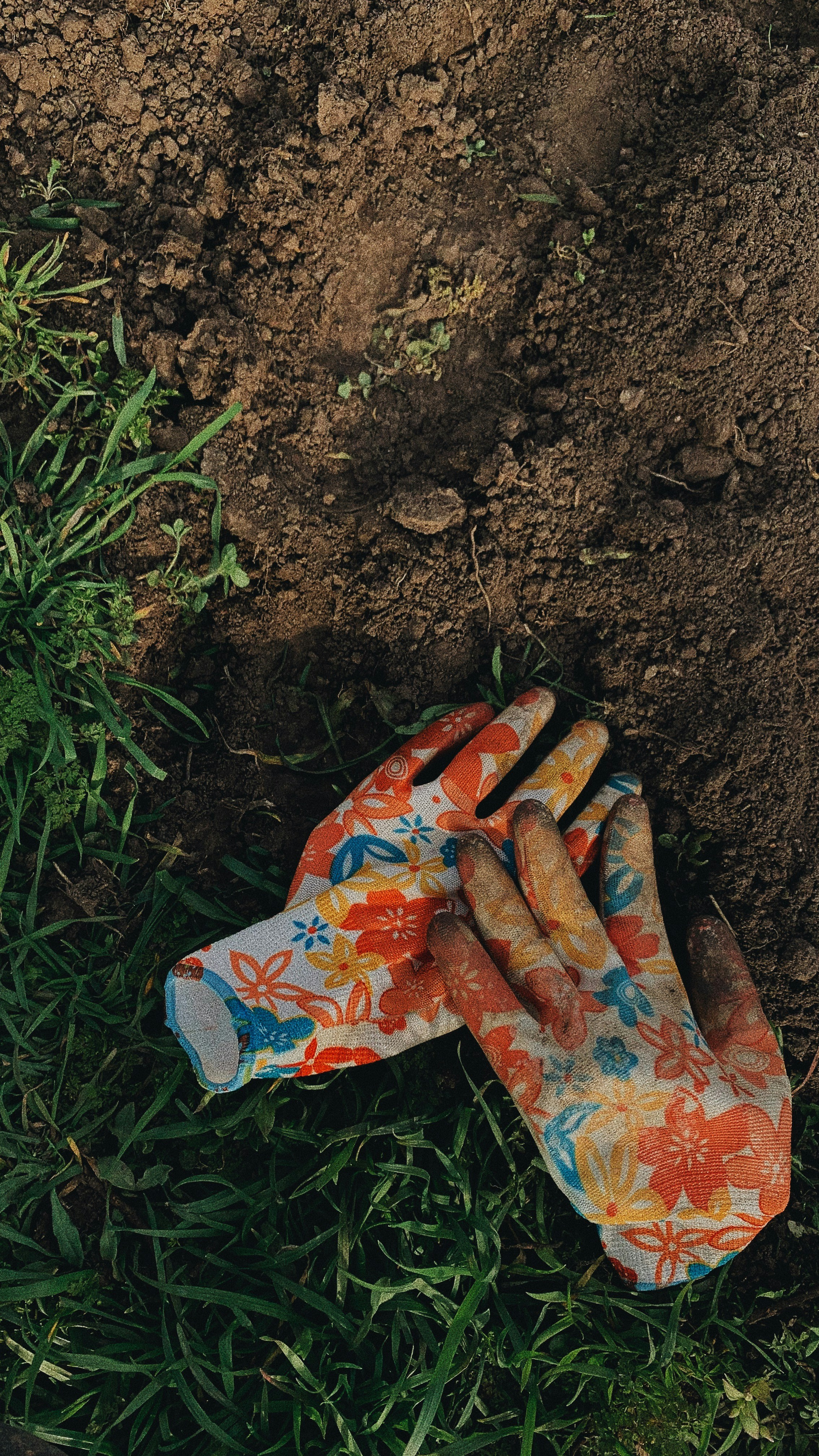 Natural pest control gardening: A gardener tending to plants in an organic garden