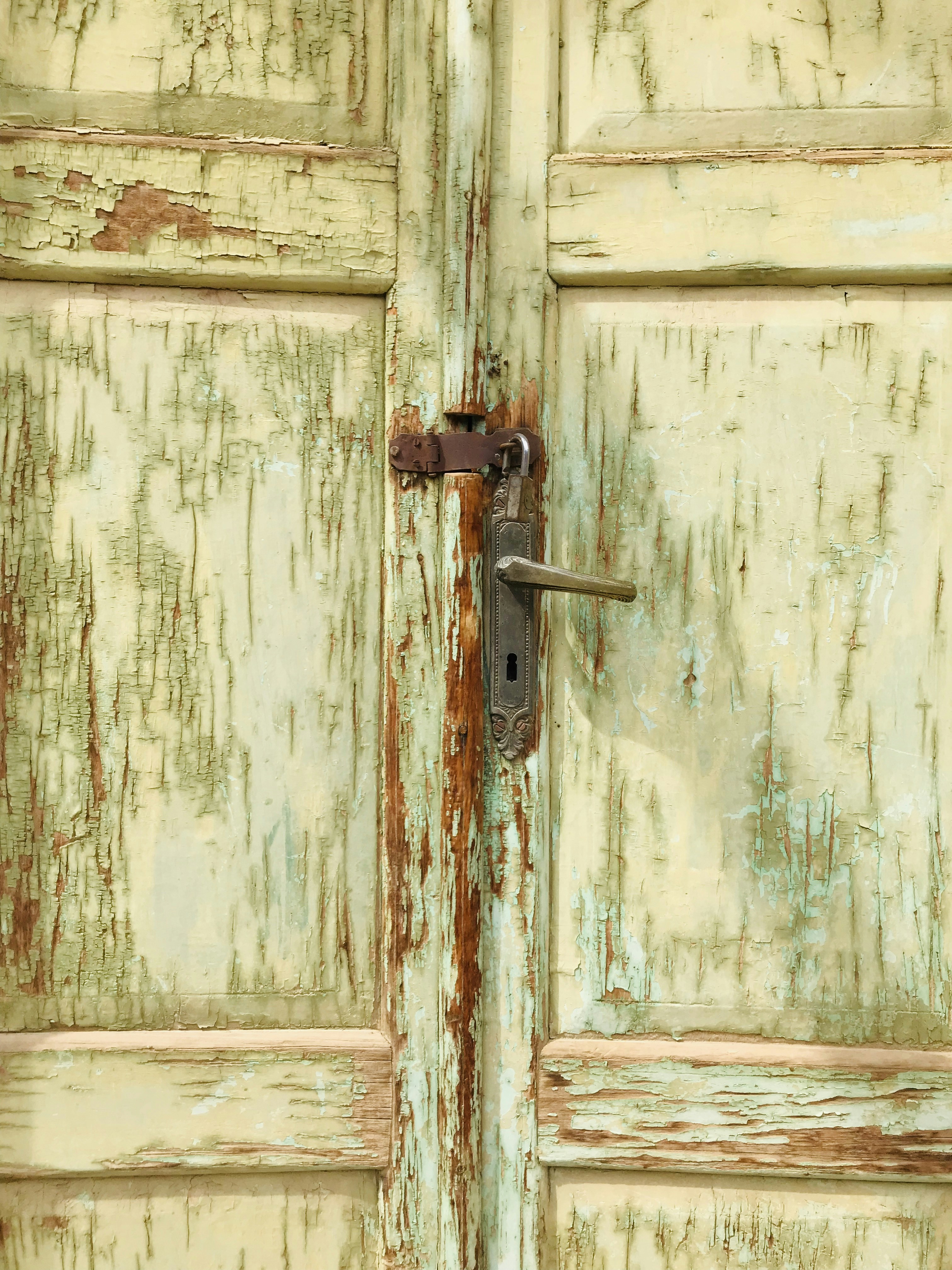 Photo by mary_the_green