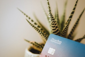 A blue Revolut card is positioned in the foreground with the focus slightly on its chipped corner. In the background, a potted plant with long, striped, and pointed leaves is visible, adding an organic contrast to the plastic card.
