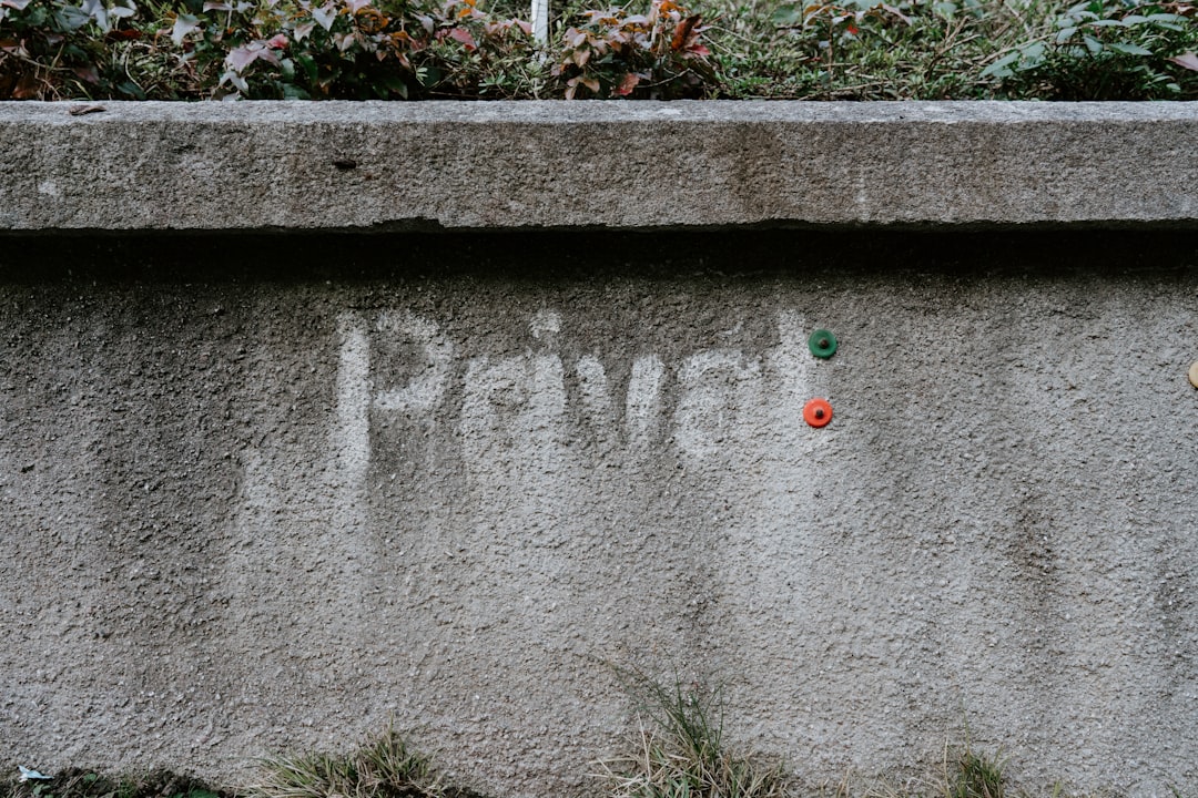 gray concrete wall with red and blue round ornament