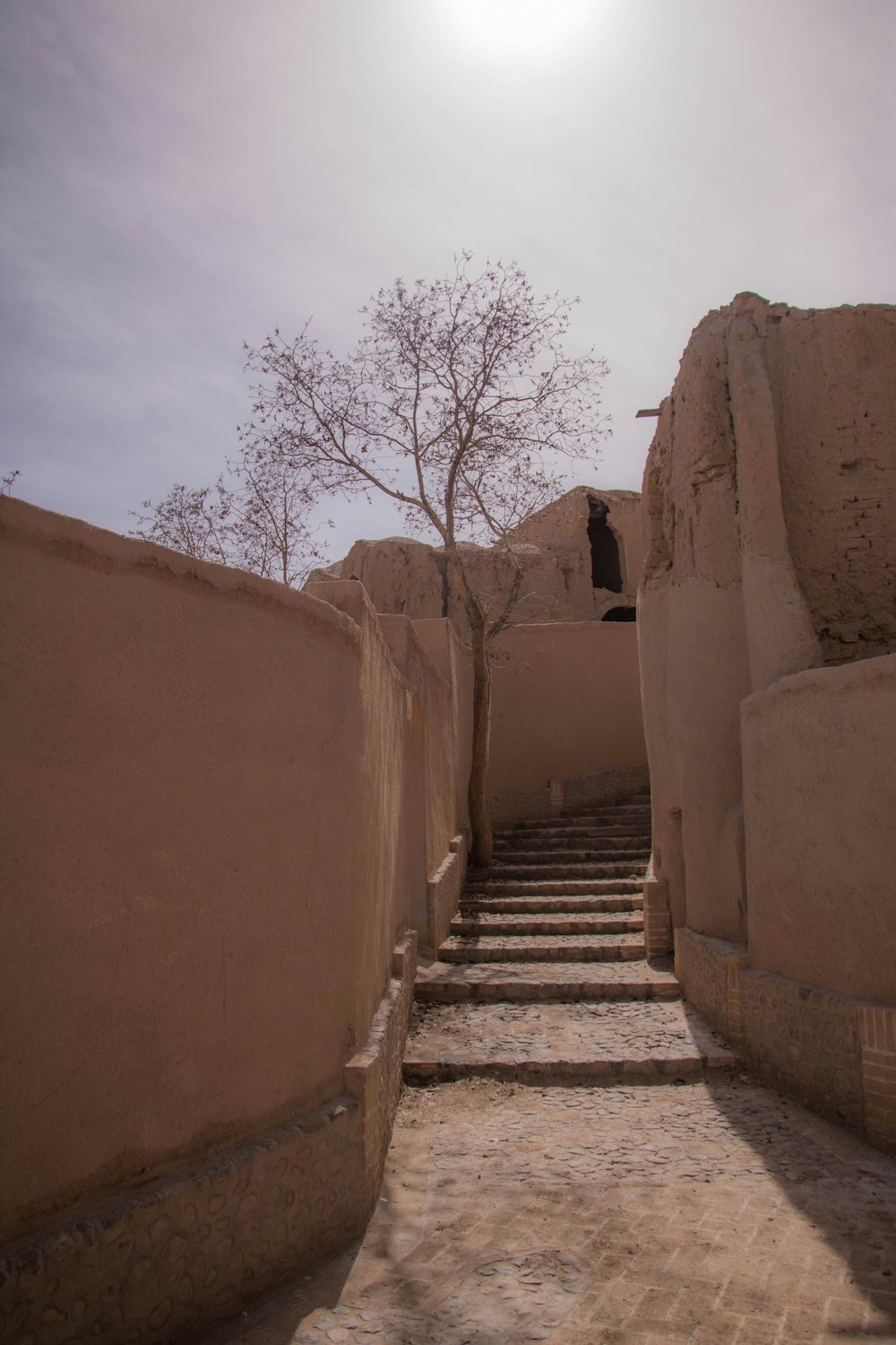 brown concrete stairs near bare trees under blue sky during daytime