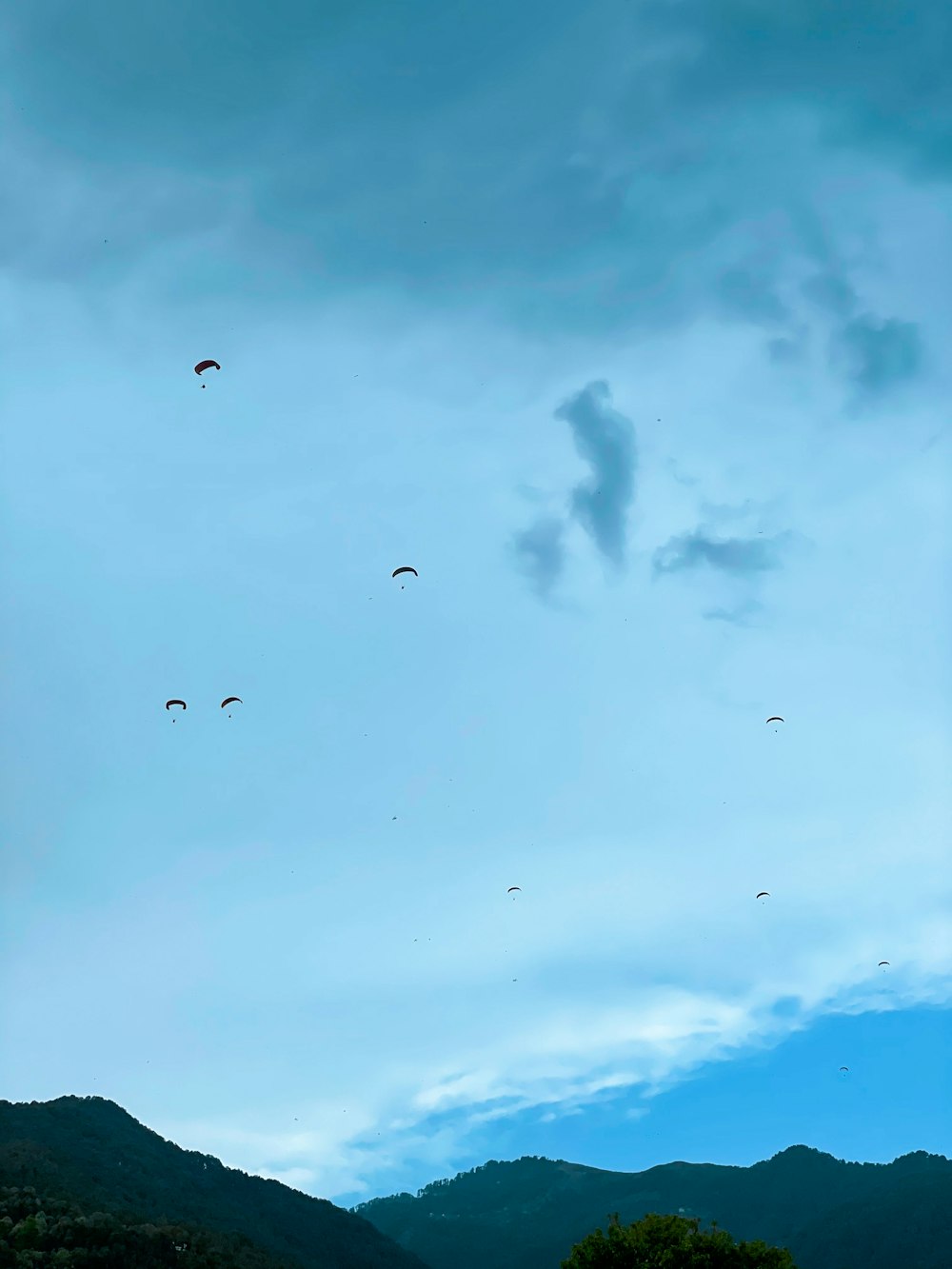 silhouette d’oiseaux volant sous un ciel nuageux pendant la journée
