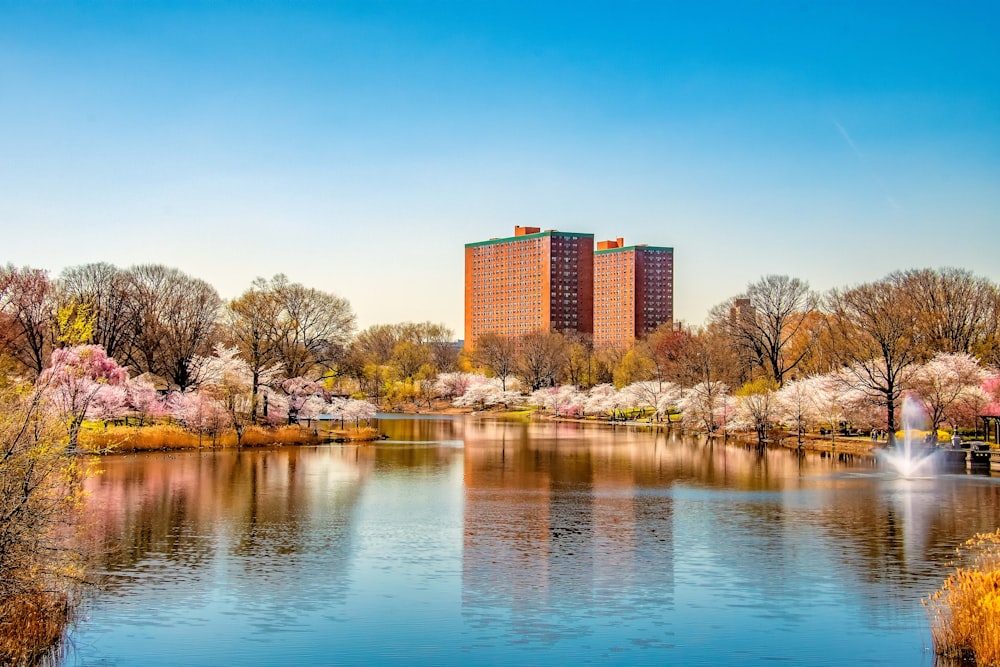 body of water near trees and buildings during daytime