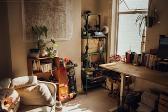 cluttered apartment in need of cleaning