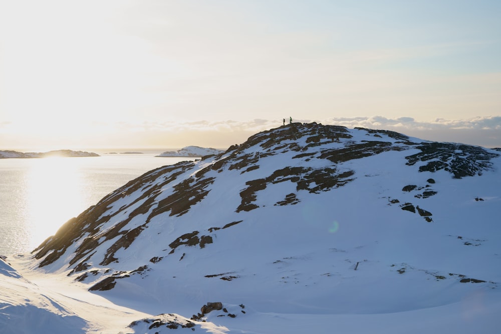 birds flying over snow covered mountain during daytime