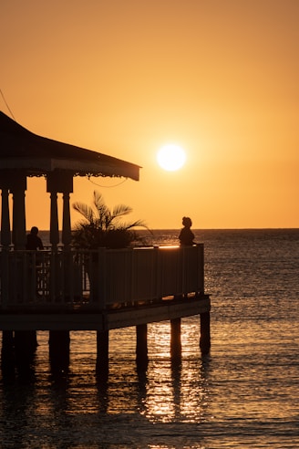 silhouette of man standing on wooden dock during sunset