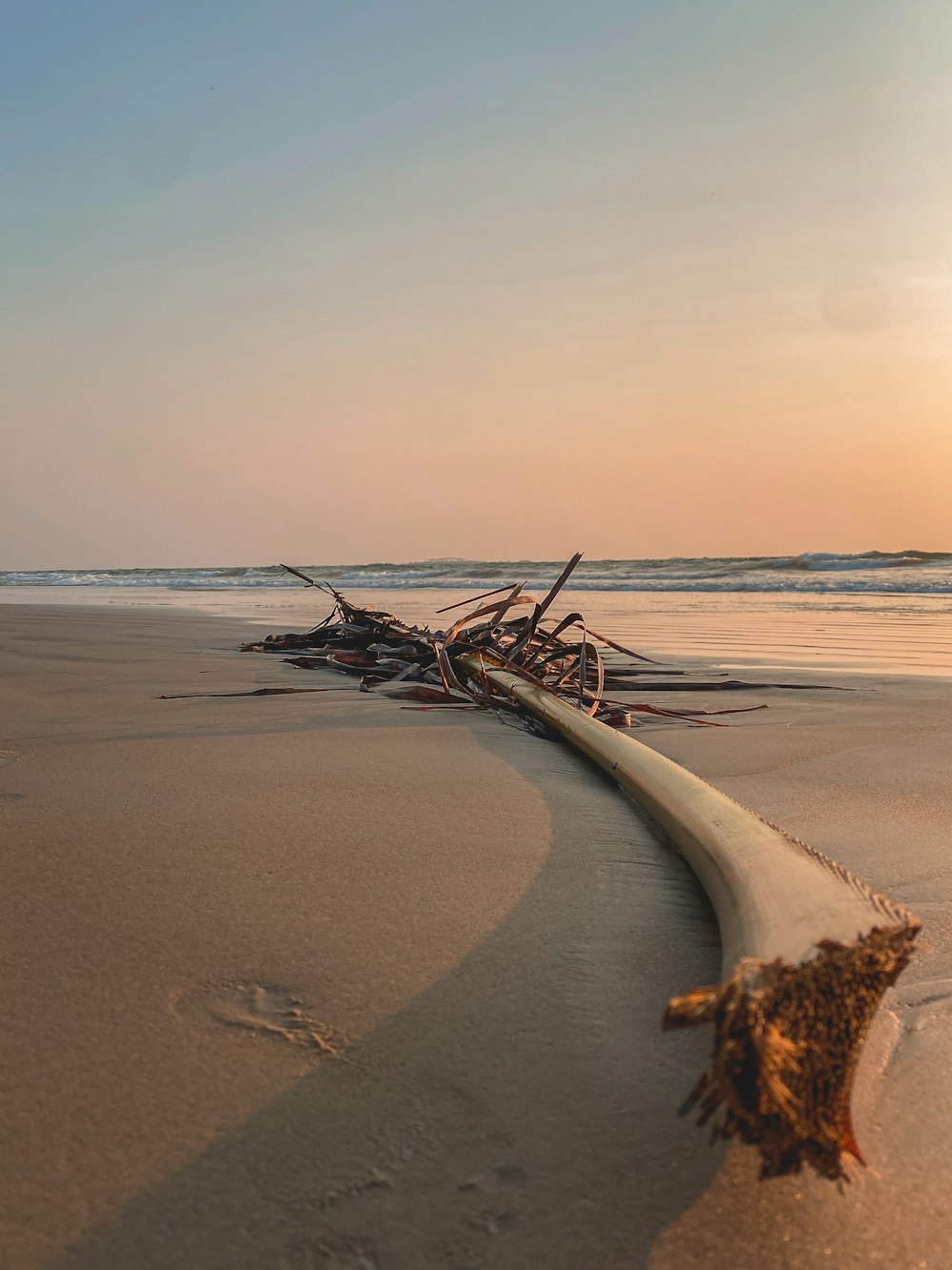 brown wooden sea dock on beach during daytime