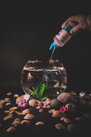 pouring medicine and water clearing substances into a fish tank