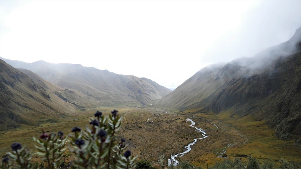 green grass on mountain during daytime