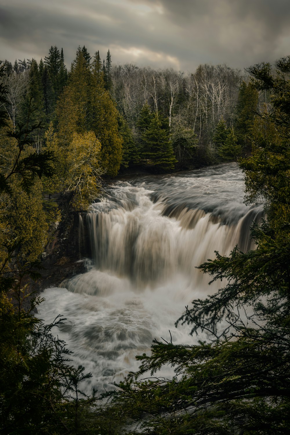 Cascate nella foresta durante il giorno