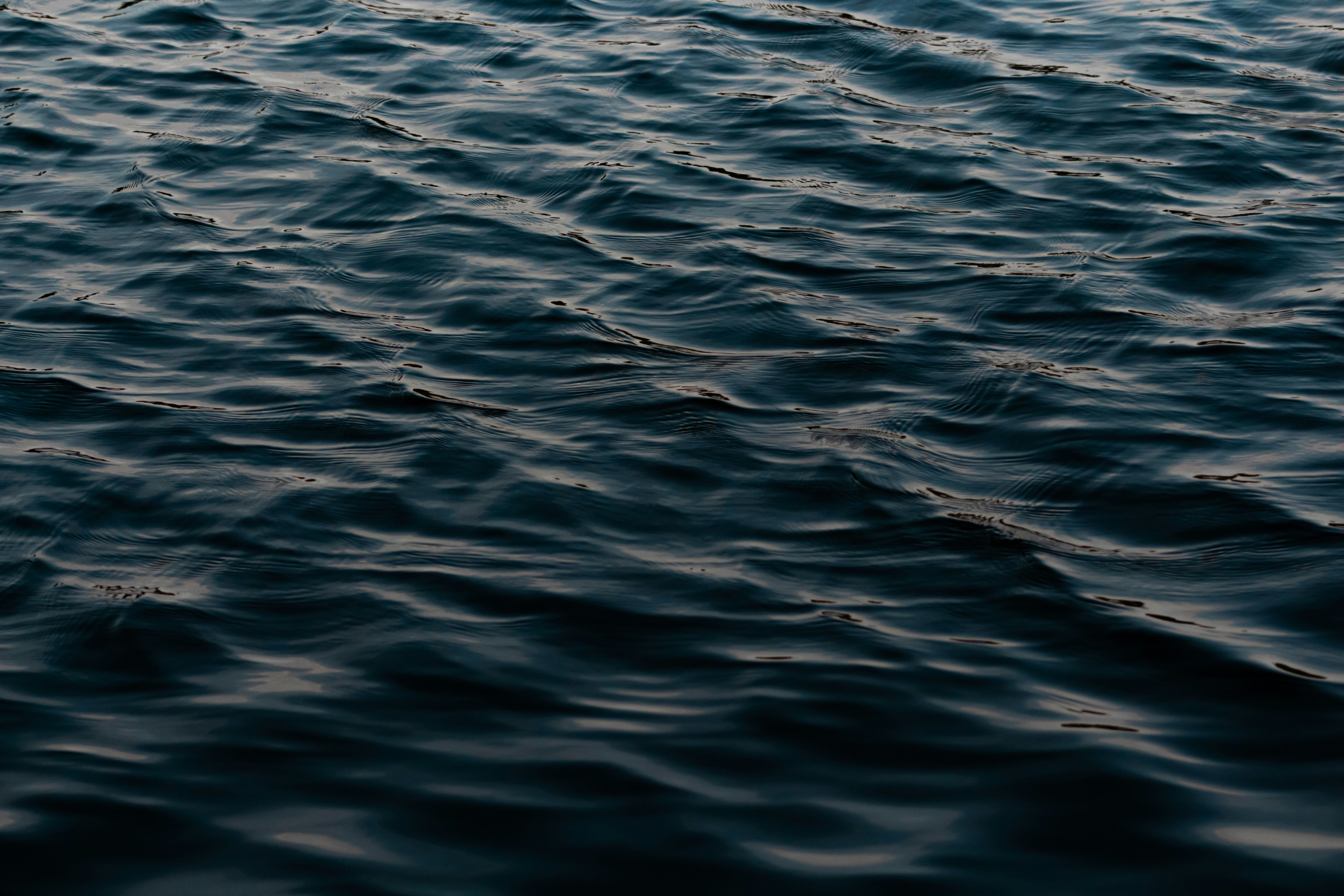 Photo by nathaliarantes