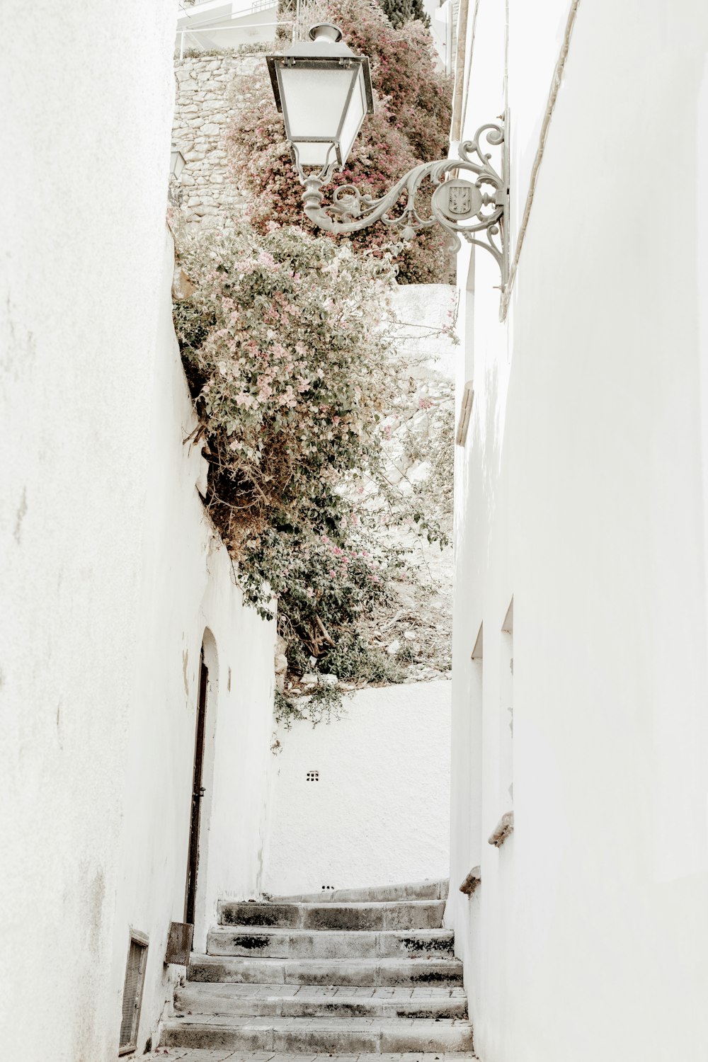 Muro de hormigón blanco con enredaderas verdes