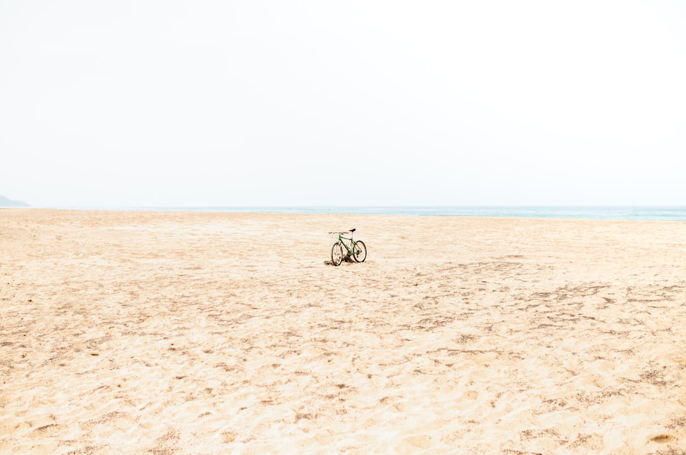 brown horse on brown sand during daytime