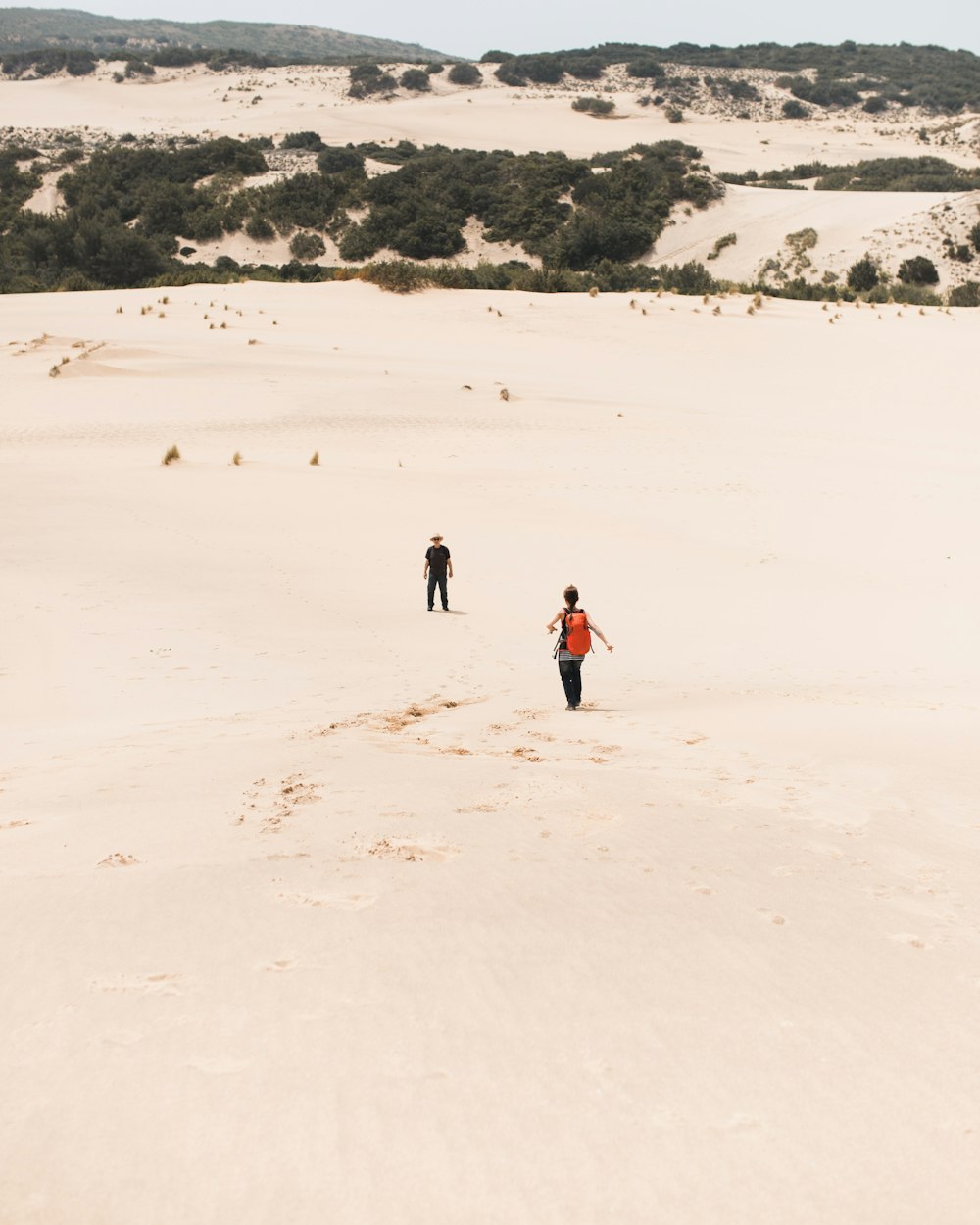 昼間、白い砂の上を歩く人々