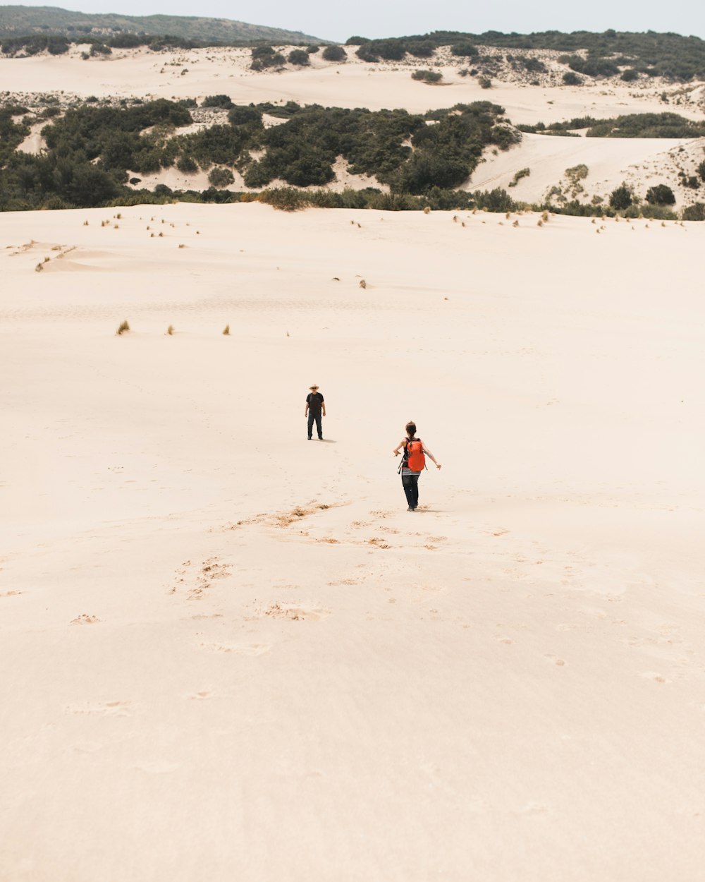 people walking on white sand during daytime