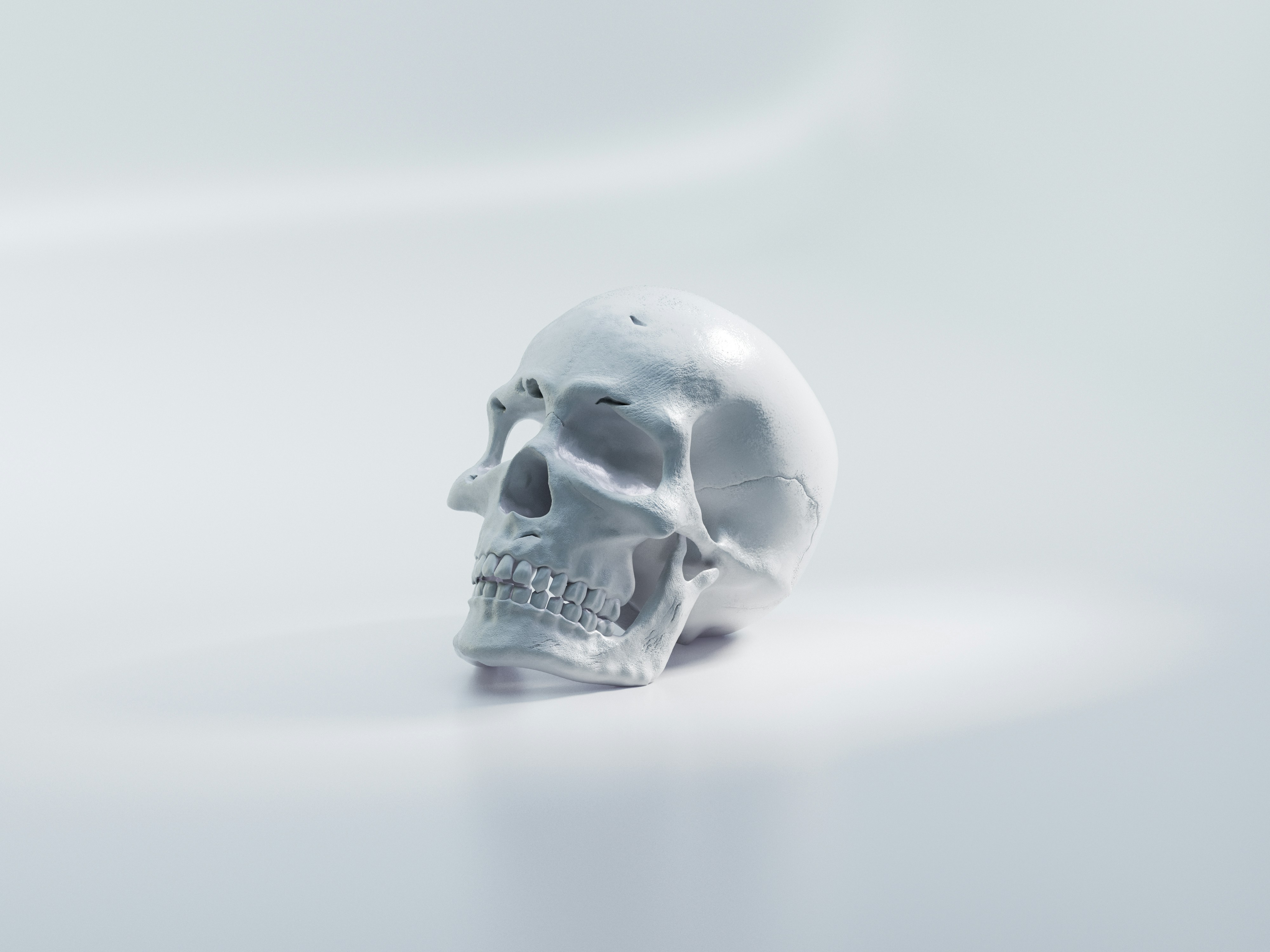 white skull on white surface, Fakurian.com