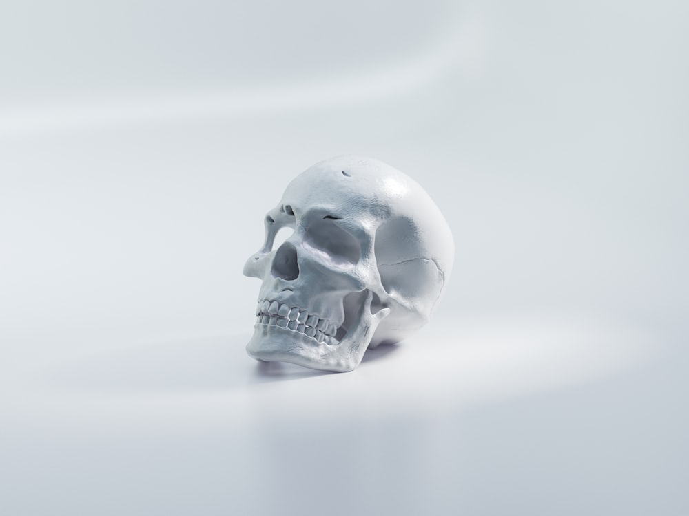 white skull on white surface