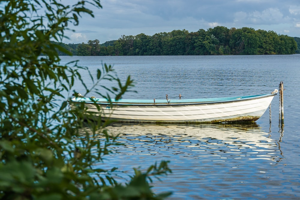 white boat on body of water during daytime