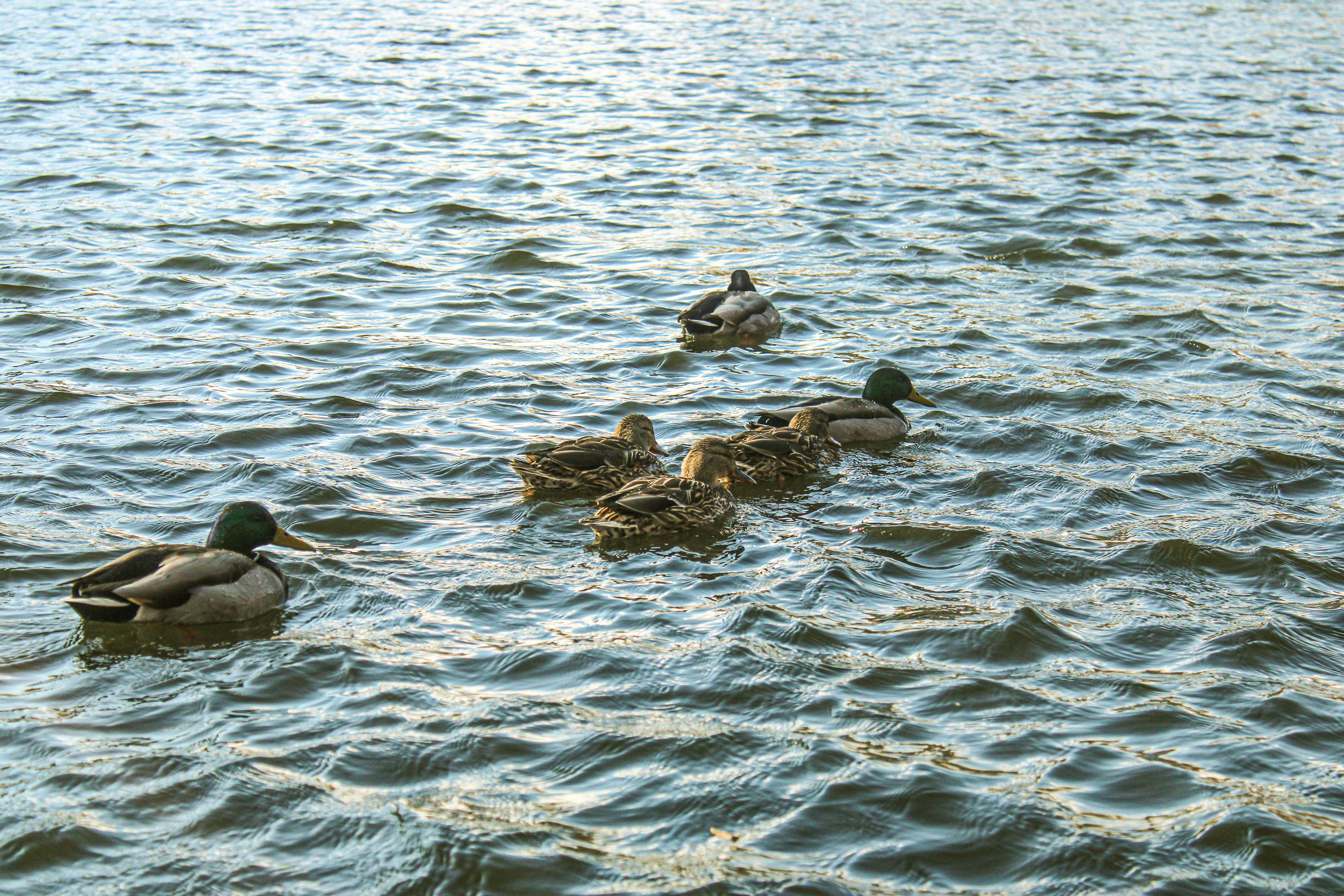 Photo by reynaldo_10