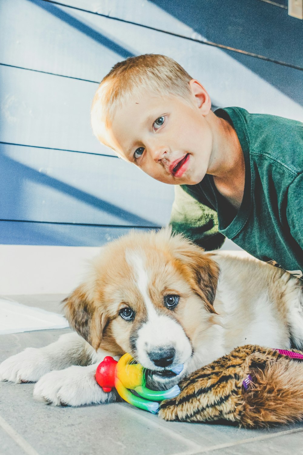 a young boy playing with a dog on the floor