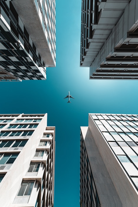 white bird flying over the building during daytime