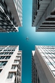 white bird flying over the building during daytime