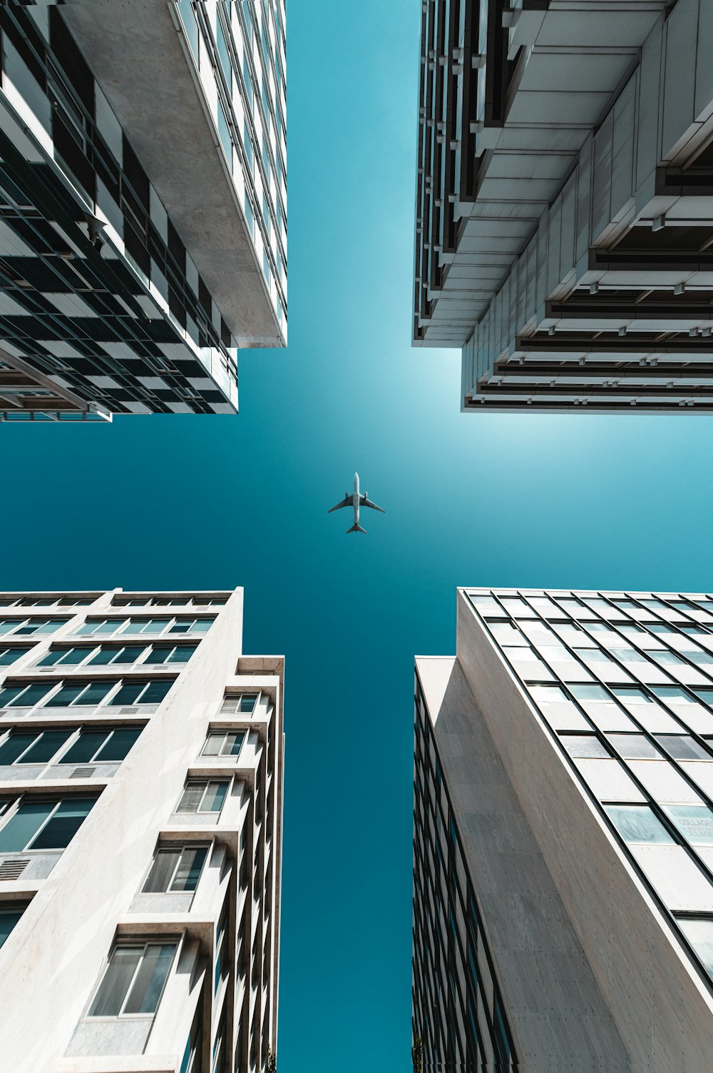 Oiseau blanc volant au-dessus du bâtiment pendant la journée