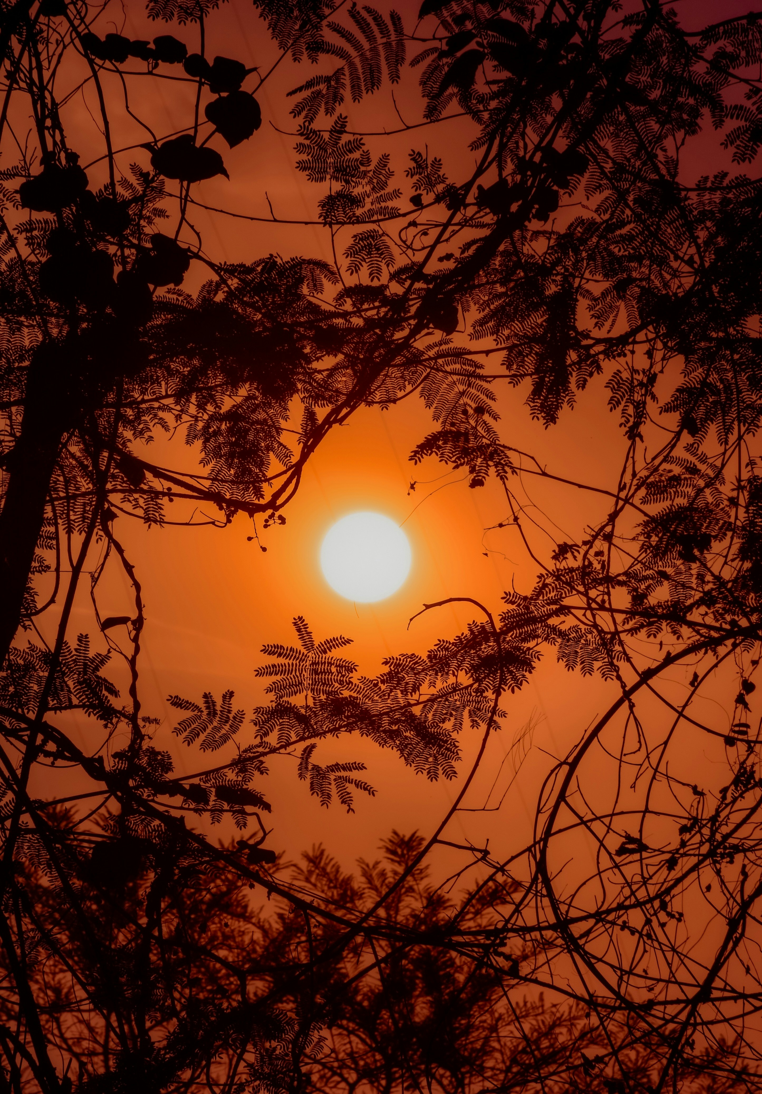 Photo by ranjanaphotography