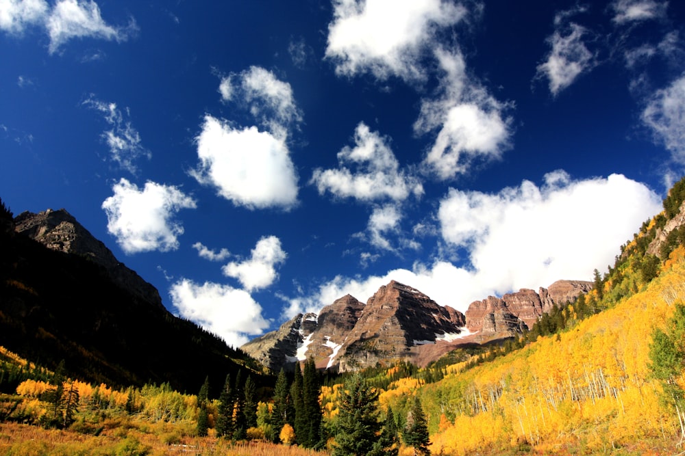 green trees near mountain under blue sky during daytime