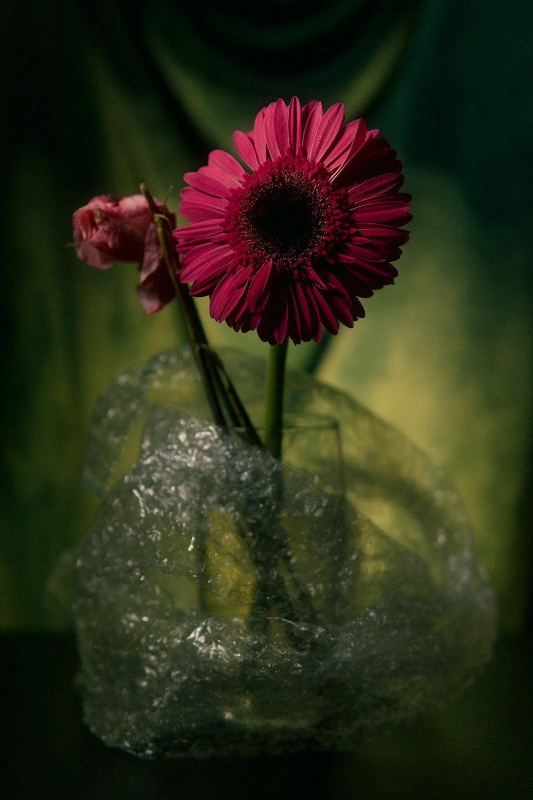 red and yellow flower in clear glass vase