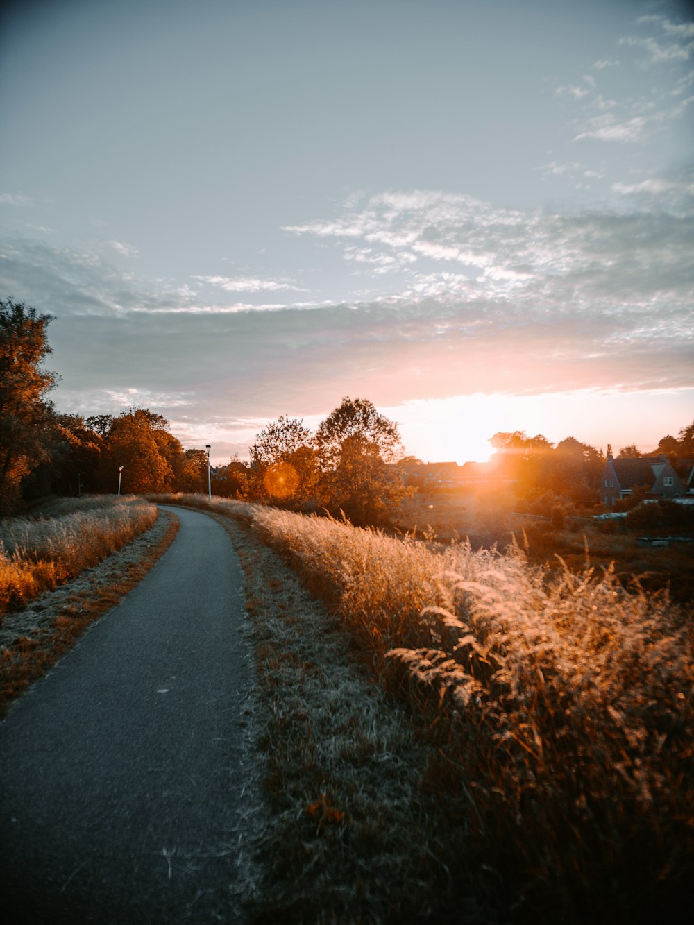 gray asphalt road between brown grass field during sunset