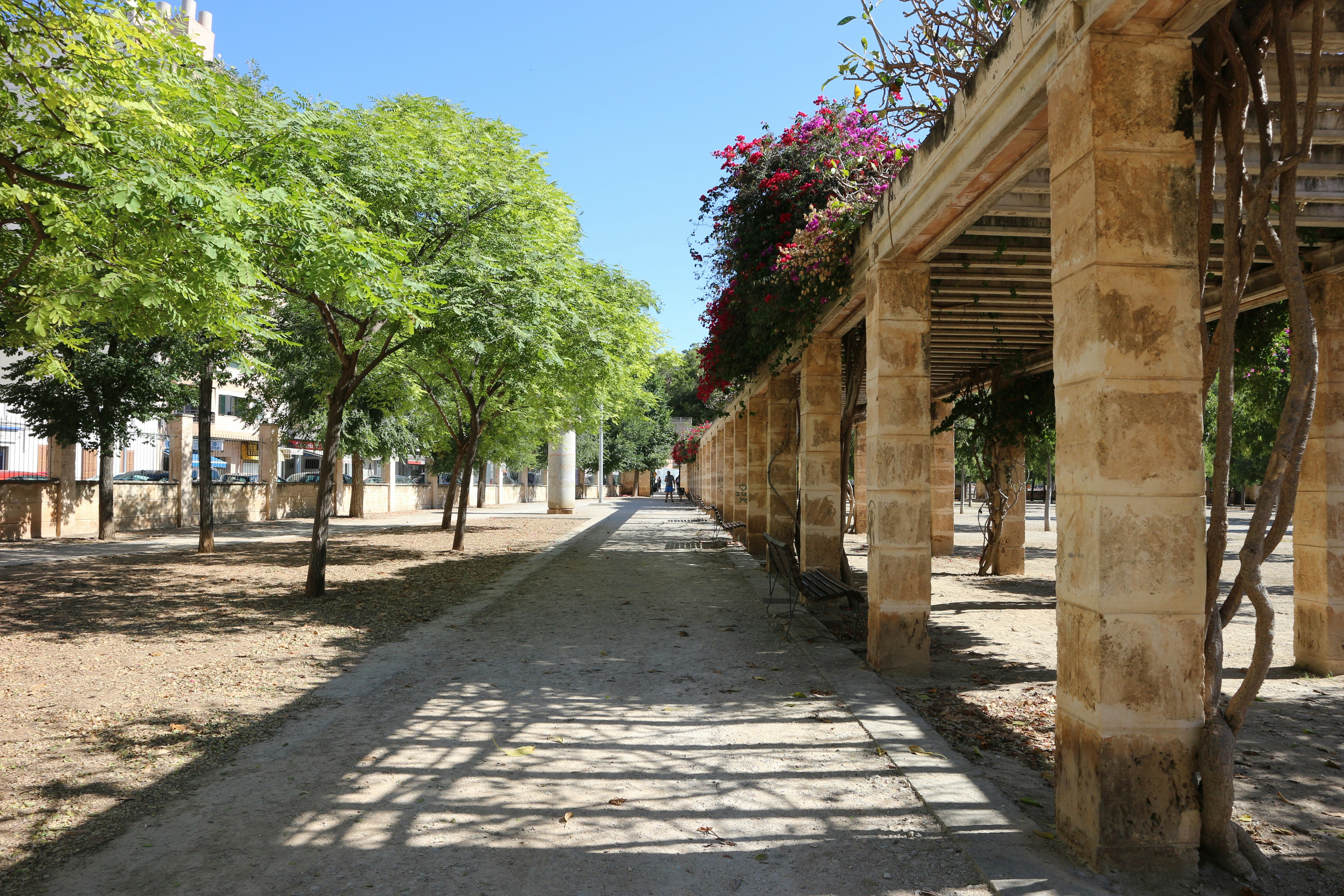 Photo by delight_tuyen