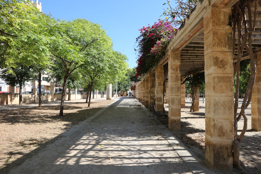 brown wooden pathway between green trees during daytime