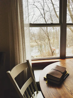 A peaceful outdoor view from the therapy room window, conveying calm and introspection